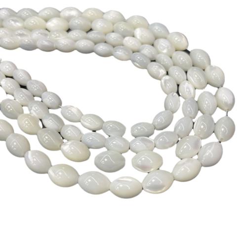 Natural Freshwater Shell Beads DIY Sold By Strand