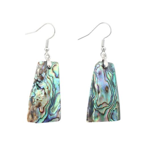 Abalone Shell Drop Earring, med Messing, Geometrisk mønster, mode smykker & for kvinde, 55x19x2.10mm, Solgt af par