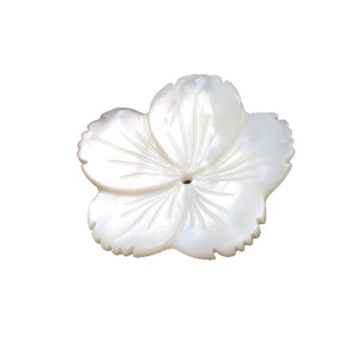 Natural White Shell gyöngyök, Amerikai Shell, Szirmok, DIY & különböző méretű a választás, fehér, Által értékesített PC