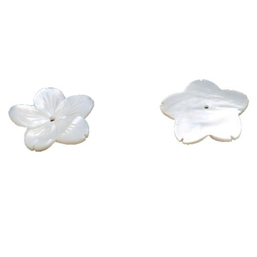 Natural White Shell gyöngyök, Amerikai Shell, Szirmok, DIY, fehér, 25.60mm, Által értékesített PC