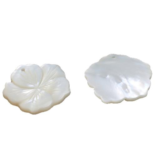 Gamtos Baltoji Shell Pakabukai, Balta "Shell, Žiedlapių, Pasidaryk pats, baltas, 25mm, Pardavė PC