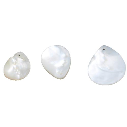 Gamtos Baltoji Shell Pakabukai, Balta "Shell, Ašara, Pasidaryk pats & skirtingo dydžio pasirinkimo, baltas, Pardavė PC