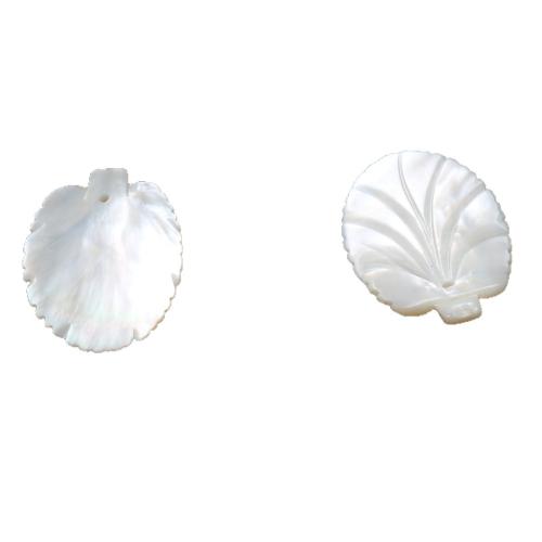 Gamtos Baltoji Shell Pakabukai, Balta "Shell, Lapas, Pasidaryk pats, baltas, 35.80mm, Pardavė PC