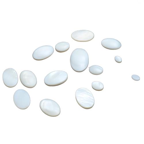 Shell Cabochons White Shell Ellipse DIY Sold By PC