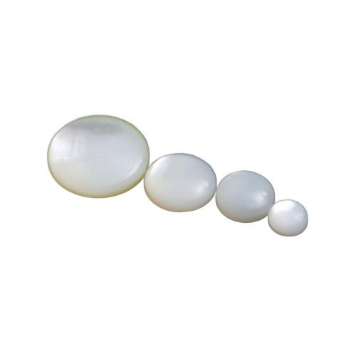 Shell Cabochons White Shell Dome DIY Sold By PC