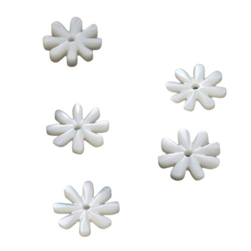 Natural White Shell gyöngyök, DIY & különböző méretű a választás, több színt a választás, Által értékesített PC