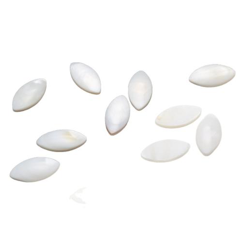 Shell Cabochons White Shell polished DIY white Sold By PC