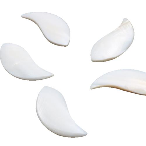 Shell Cabochons White Shell polished DIY white Sold By PC